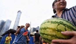 51朝阳吃瓜群众,揭秘吃瓜群众的幕后故事